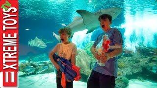 Teleport Trouble Part 2 Nerf Battle in the Aquarium