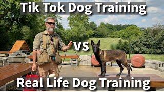 Tik Tok Dog Training vs Real Life Dog Training