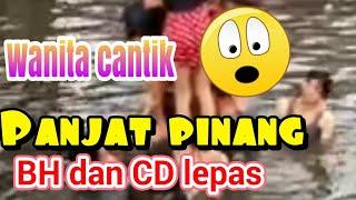 BH dan CD LEPAS PANJAT PINANG