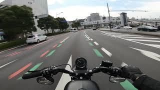 2020 Iron 883N Daily Ride Pure Exhaust sound