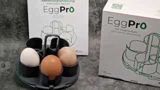 Produktvorstellung Wundermix  Egg-Pro