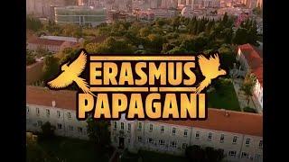 Eti Benim’O – Kampüsün Doğası  Erasmus Papağanı