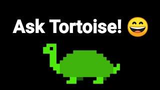 What do I animate in? Face reveal? Whats my favourite food? - Ask Tortoise #1