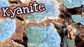 Amazing Blue Kyanite Pyrite Crystal Outcrop  We Must Dig