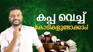 കപ്പ വച്ച് കോടികളുണ്ടാക്കാം Profitable Business Idea using Tapioca #business #businessideas