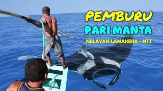 JEJAK PEMBURU PARI MANTA - NELAYAN LAMAKERA NUSA TENGGARA TIMUR