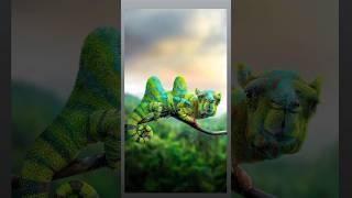 Cameleon #photoshop #photoediting #tutorial #art #graphicdesign #photoeffects #tutorial #shorts