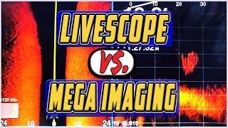 Garmin Livescope vs. Mega Side Imaging