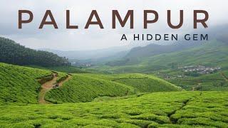 Palampur - Offbeat and Most Beautiful Tourist Place to Visit in Kangra Himachal Pradesh