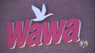 Wawa Investigating Massive Data Breach That Potentially Impacted All Locations