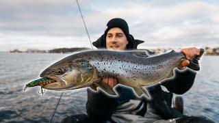 Das glaubt uns keiner Monster-Fisch in der Stadt gefangen. Catch & Cook