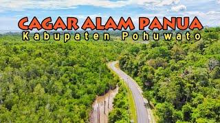 CagarAlam Panua Kabupaten Pohuwato