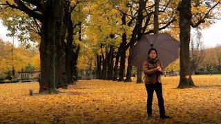 AUTUMN IN CINQUANTENAIRE  BRUSSELS - BELGIUM