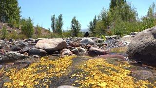 Golden River These gold riches can be found in riverbed and under water.