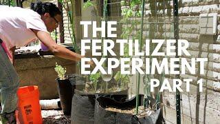 Can This DIY Fertilizer Save My Garden in the Texas Heat?