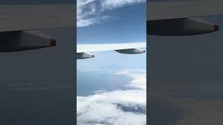 Mt. Fuji seen from the plane  #Shorts #mtfuji #japan