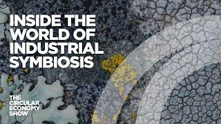 Inside the world of industrial symbiosis  The origins of the circular economy