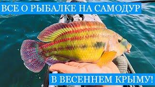 НЕОЖИДАННАЯ находка на диком ПЛЯЖЕ в Крыму Рыбалка на самодур и джиг уха из ярких весенних трофеев