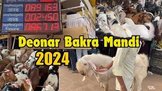 Deonar Bakra Mandi 2024 Vlog  Part 1  deonar bakra mandi