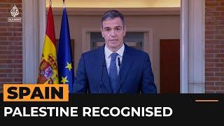 Spain formally recognises Palestine as a state  Al Jazeera Newsfeed