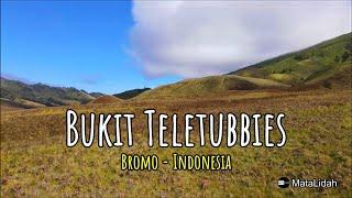 Hiking Seru di Bukit Teletubbies Bromo Pemandangan Spektakuler & Spot Foto Unik