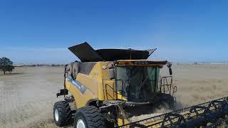 New Holland CR10.90 Combine Harvester in flight