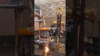 सावन का महीन पवन करे सोर #saavn #explore #viral #video #viralvideos #trending #tranding #snake #new