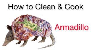 How to clean and cook Armadillo