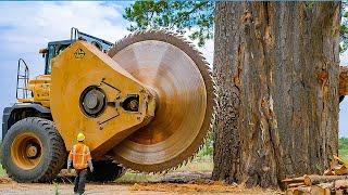 Extreme Dangerous Fastest Big Chainsaw Cutting Tree Machines  Monster Stump Removal Excavator #30