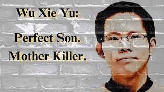 The perfect son who brutally murdered his mother. The Wu Xieyu case.