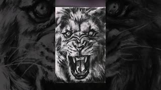 ASMR Drawing a Lion with Charcoal #asmr #asmrdrawing #asmrnotalking #art #charcoal