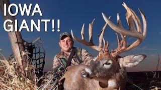 GIANT Iowa Buck in Rut  CRAZY Rut Hunting Action  Rattled to the Base of the Tree