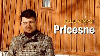 Radu Cimpoi - Pricesne 2023