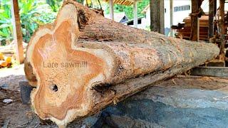 Sawing giant teak logs into excellent 7x14cm blocks  wood sawmill factory