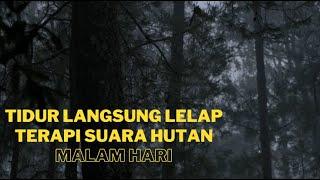 Suara Hutan Malam Hari