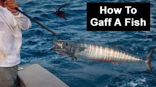 How To Gaff A Fish Mistakes Choosing The Right Size Gaff & More