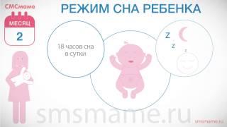 Ребенок 2 месяца - режим ребенка режим сна как уложить спать