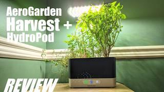 REVIEW AeroGarden Harvest Smart Indoor Hydroponics Growing System - Herb Garden in 1 Month?