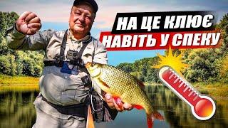 Спекотний спінінг Як ловити та де шукати рибу  влітку? Crazy Fish Alpha 712ULS