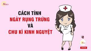 Cách tính ngày rụng trứng để dễ mang thai và tránh thai - NẮNG TV