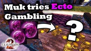 Muk tries Ecto Gambling for first time - Guild Wars 2