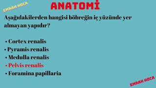 ANATOMİ ÇIKMIŞ VE ÜNİTE SORULAR FİNAL