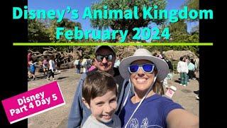 2024 February Disney Animal Kingdom Part 4 Day 5