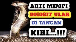 Arti Mimpi Digigit Ular Di Tangan Kiri