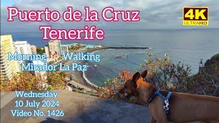 Tenerife ️ Puerto de la Cruz Morning La Paz 10 July 2024 Teneriffa