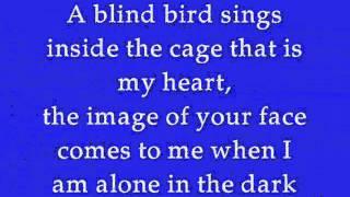 DELA by Johnny Clegg Lyrics