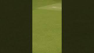 Cover Drive #youtubeshorts #cricket #straightdrive #pakistan #cricketlovers #pslt20 #trending #game