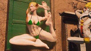 Falke E.Honda vs Cammy Akuma Street Fighter V MOD Swap