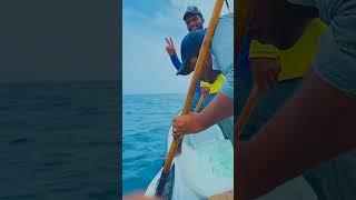 line hook fish Kingmackerel hunting video