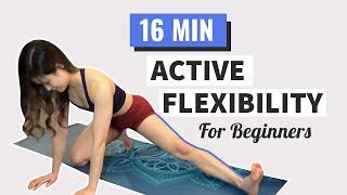 16 min Full Body Active Flexibility for Beginners Follow Along